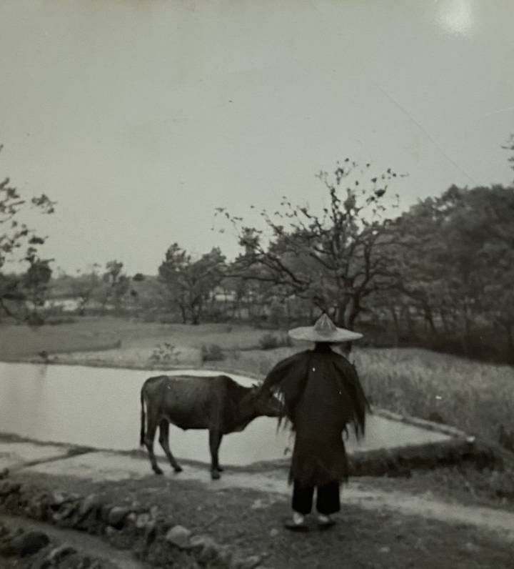 WechatIMG573.jpeg WechatIMG573.jpeg