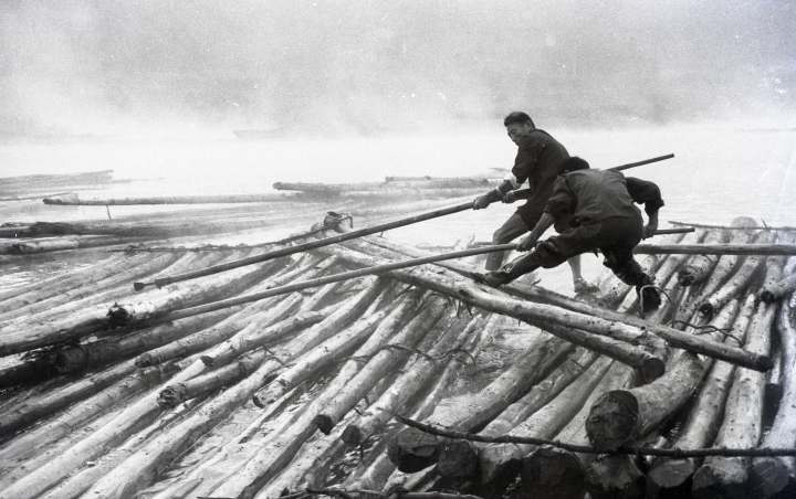 img868.jpg img868.jpg